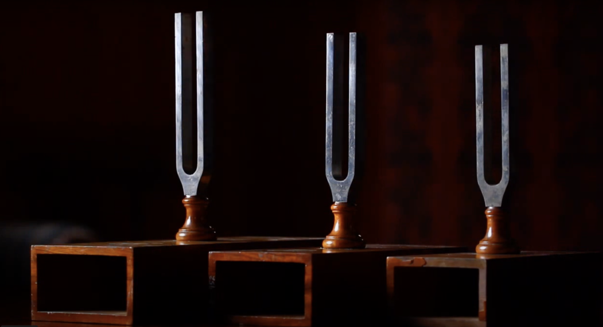 Three tuning forks on small wooden platforms